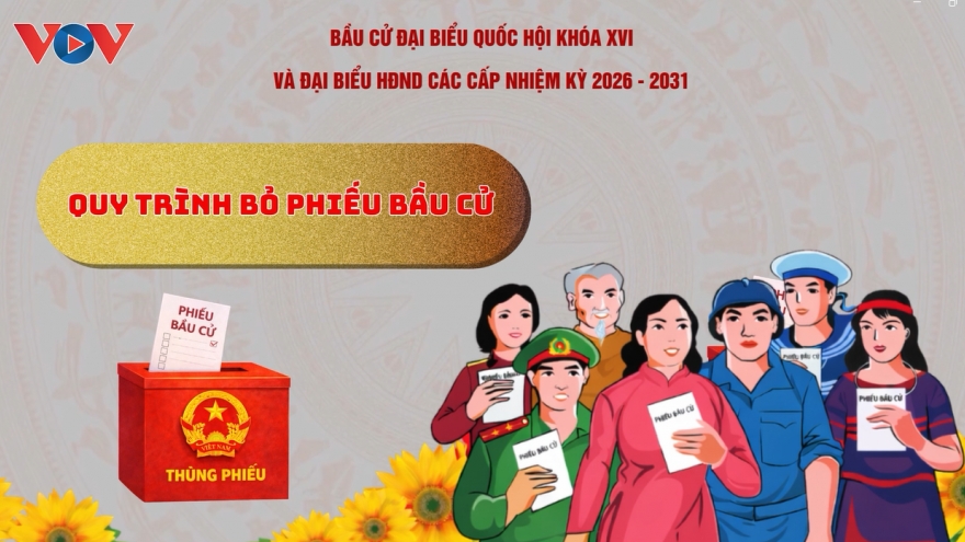 Hướng dẫn cử tri bầu cử đại biểu Quốc hội và đại biểu HĐND các cấp